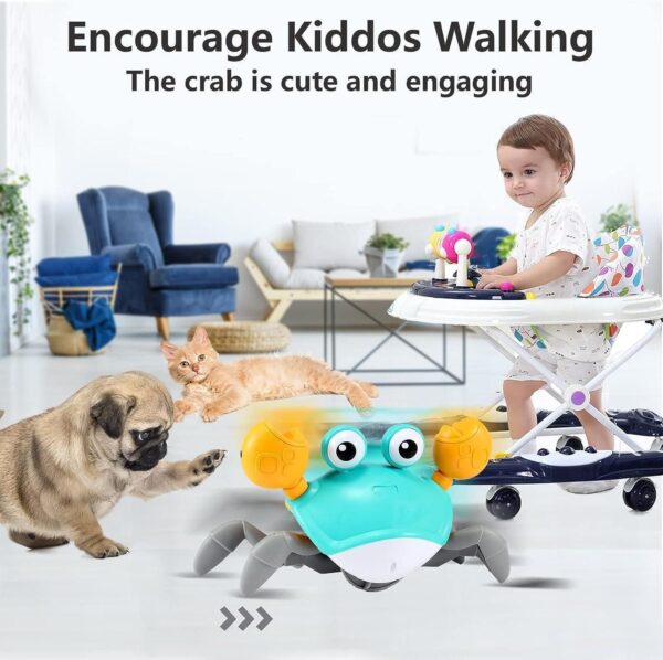 Baby Infant Crawling Crab Toy - Image 3