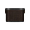 Bang & Olufsen Beosound A5 Portable Speaker - Image 7